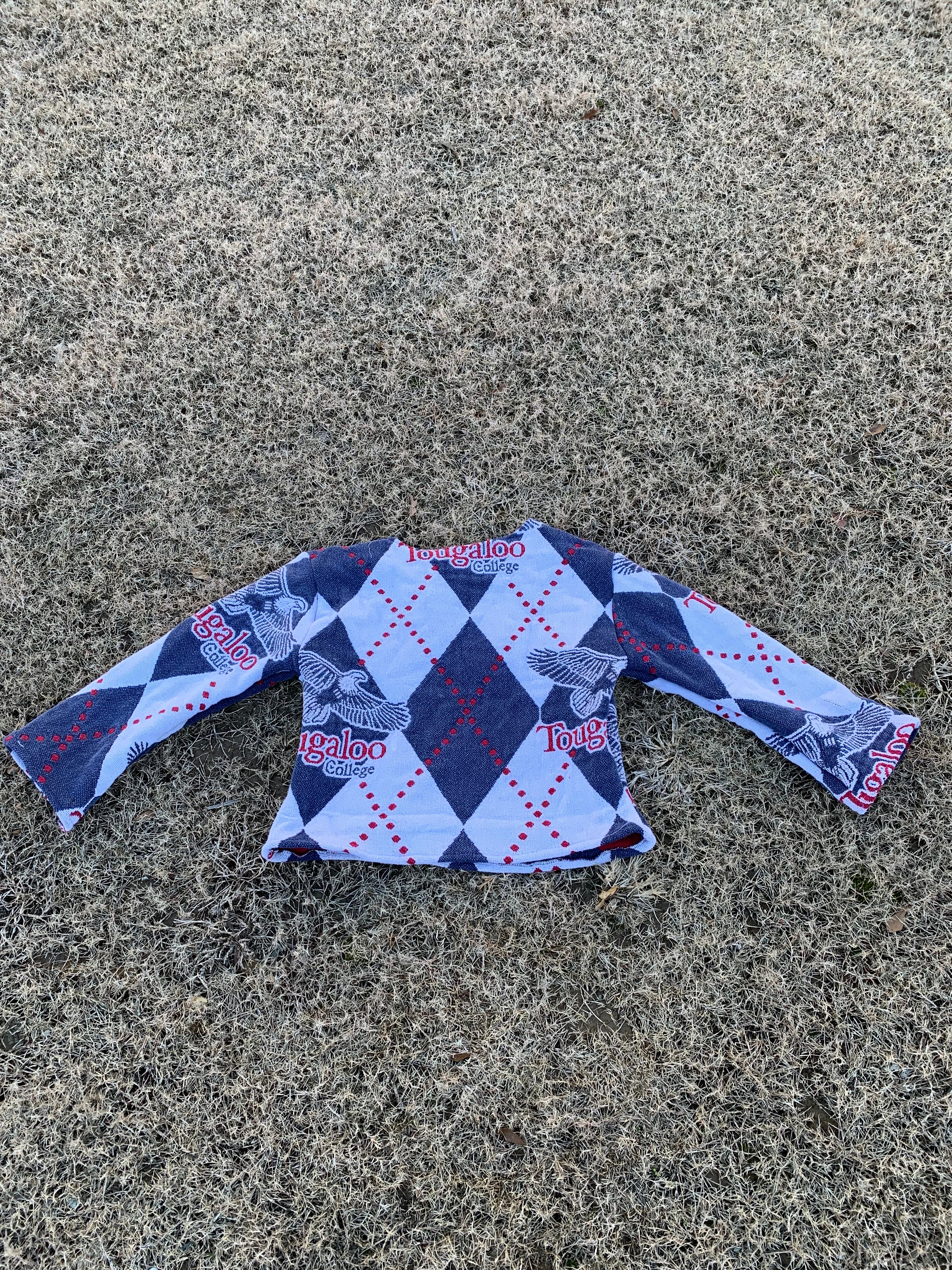 Tougaloo Tapestry Sweater